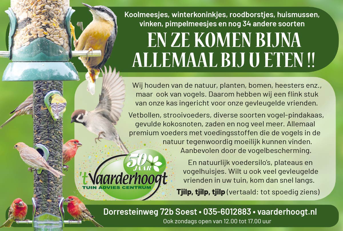 WEEK-42 Aanbieding week 38