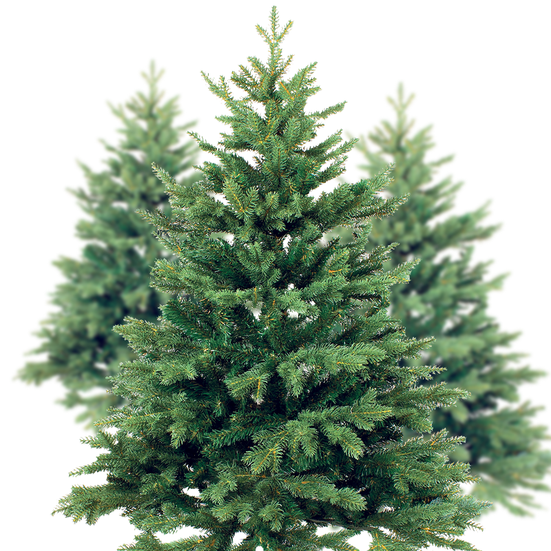 Nordmann kerstbomen
