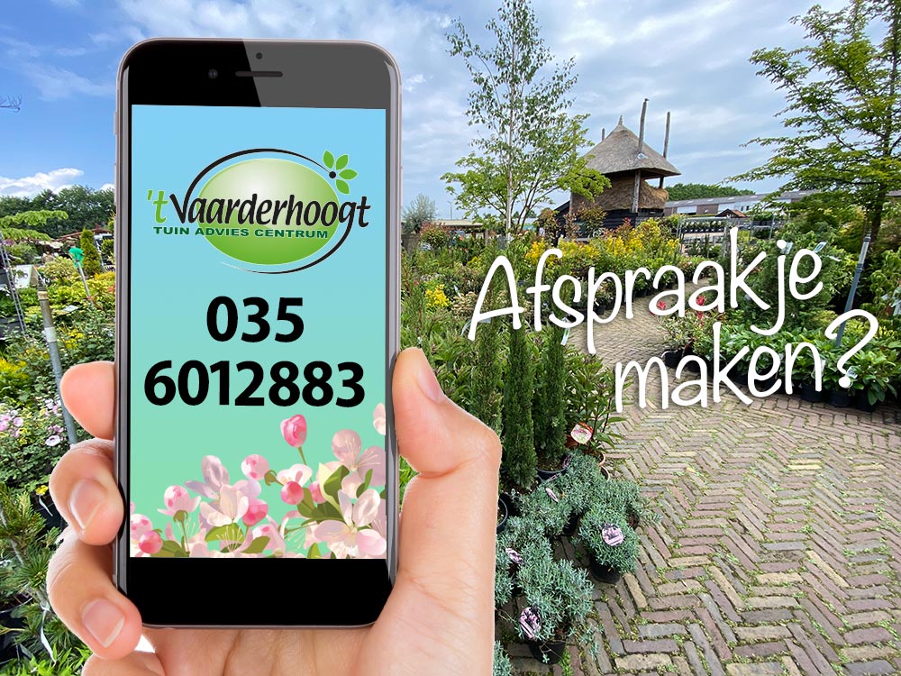 KOPFOTO-AFSPRAAKJE-MAKEN