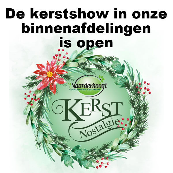 LINK NAAR KERSTNOSTALGIE