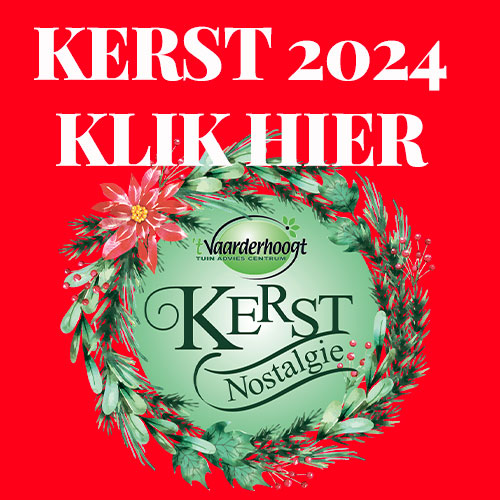 BANNER KERSTSHOW