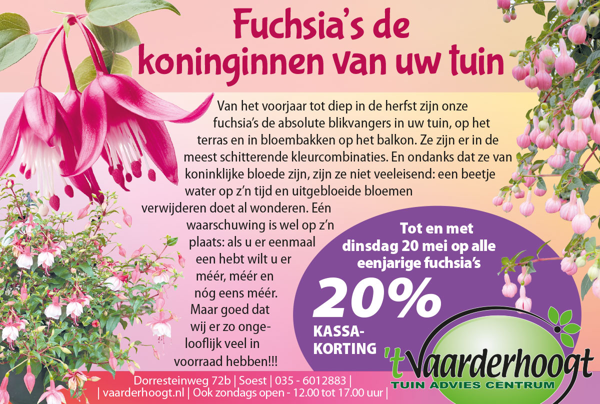 week-20-fuchsia's fuchsia's
