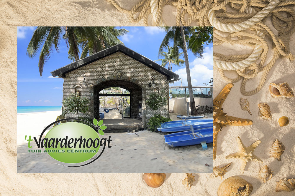 Vaarderhoogtpoort op het strand