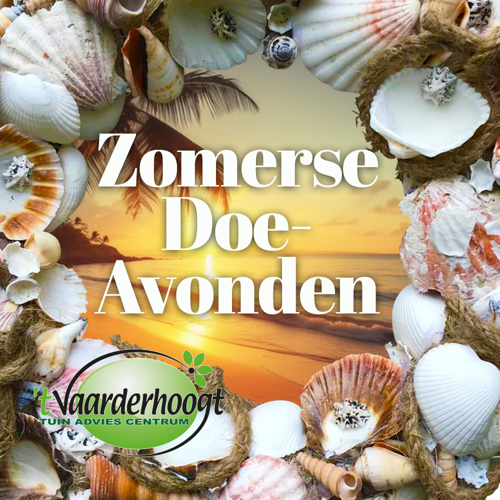 Vaarderhoogtpoort op het strand